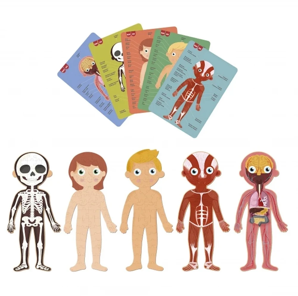 Apli Kids Magnetinis žaidimas-dėlionė „Žmogaus kūnas”
