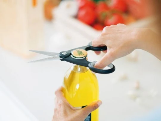 Fiskars FF žirklės žuviai (1003032) #