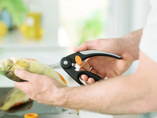 Fiskars FF žirklės žuviai (1003032) #