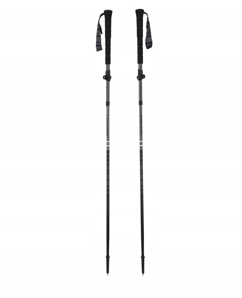 Trekingo lazdos Poles Viking Kettera Pro Long Grip