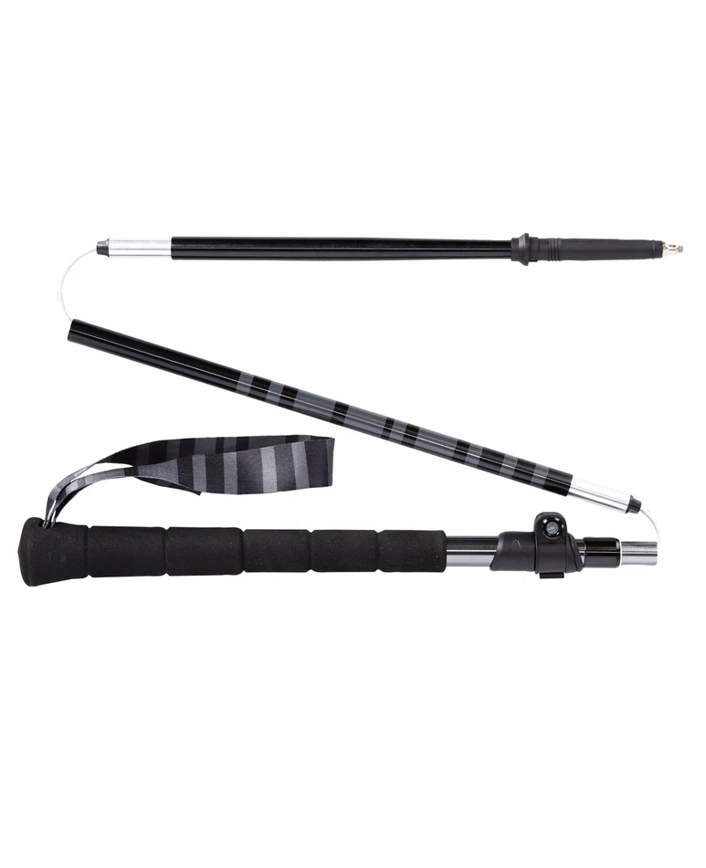Trekingo lazdos Poles Viking Kettera Pro Long Grip