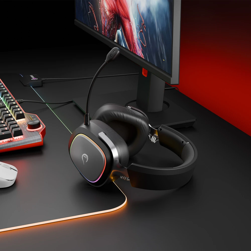 Ausinės su mikrofonu Rampage RETSU Juodos/Pilkos Belaidės 2.4G Bluetooth