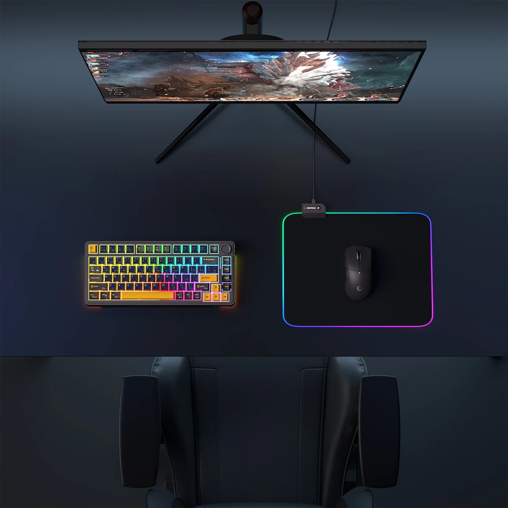 Rampage MP-21 podkładka žaidimams pod pelė 25x33cm RGB juoda