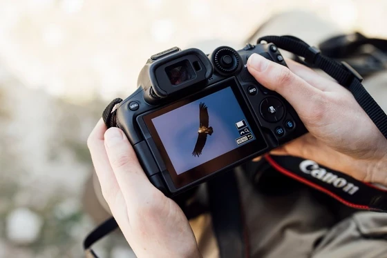 Canon EOS R7 fotoaparatas su RF-S 18–150 mm F3.5–6.3 IS STM objektyvu aprašymas - Prekės nuotrauka