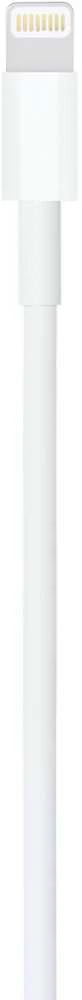 Apple Lightning ir USB kabelis (1 m)