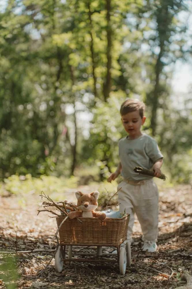 Little Dutch Lagaminų rinkinys ´Forest Friends´