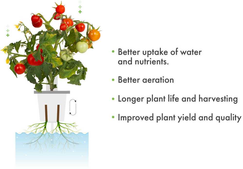 Click and Grow Pro Plant Cups 9 pakuotė
