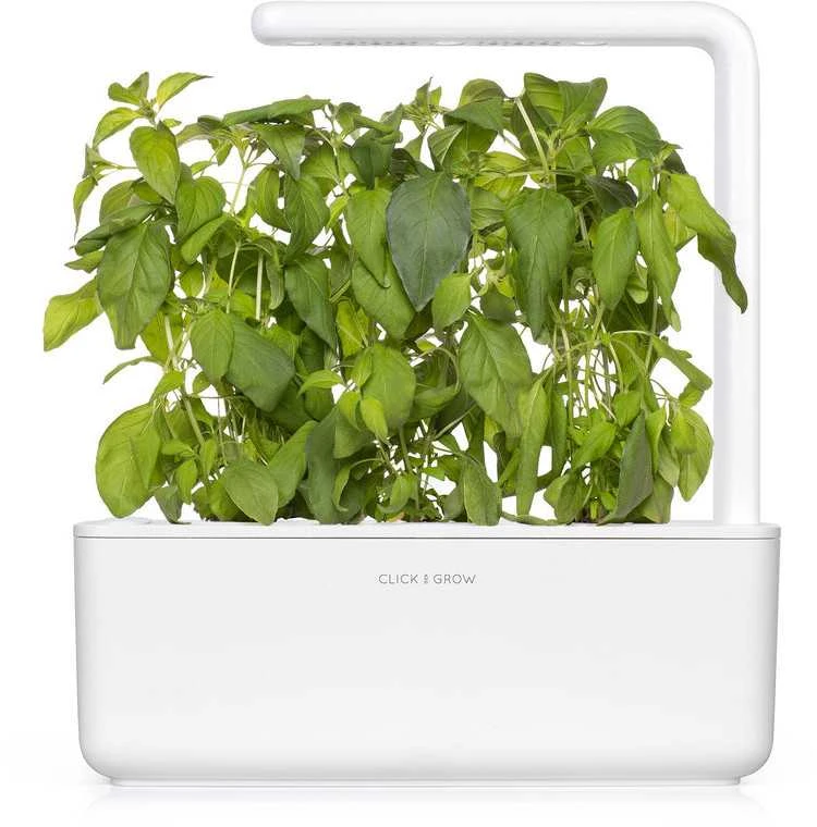 Click And Grow Click & Grow sėklos išmaniajam vazonui - Citrininis bazilikas (SGR100X3) 3vnt.