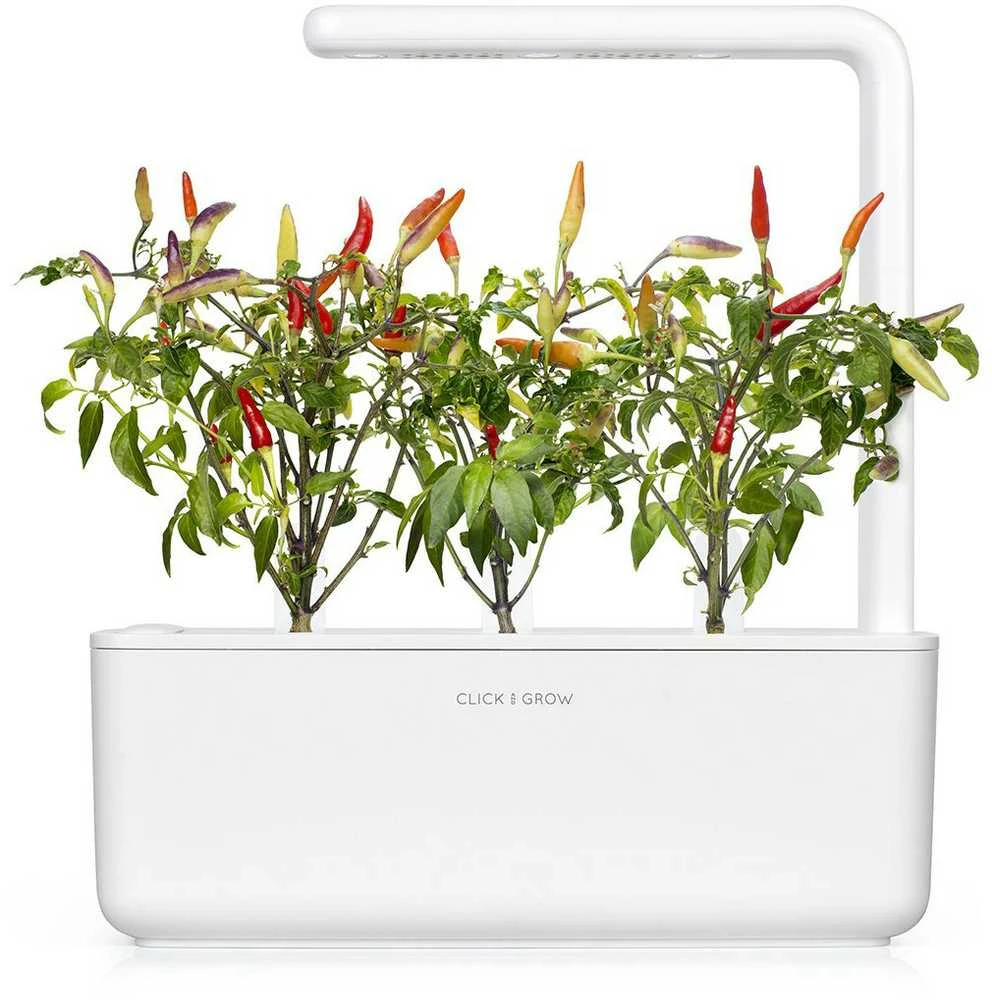 Click & Grow sėklos išmaniajam vazonui - Raudonieji aštrieji čili pipirai (SGR52x3) 3vnt.