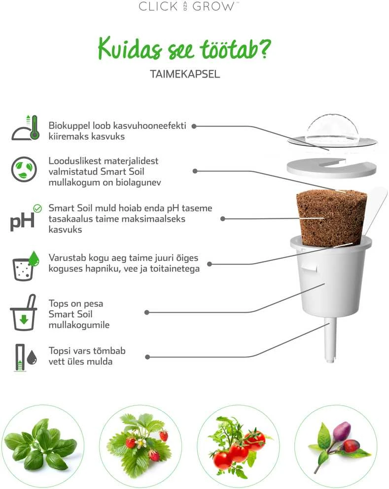 Click and Grow Smart Home 3 vnt. papildymas - čiobrelių sėklos