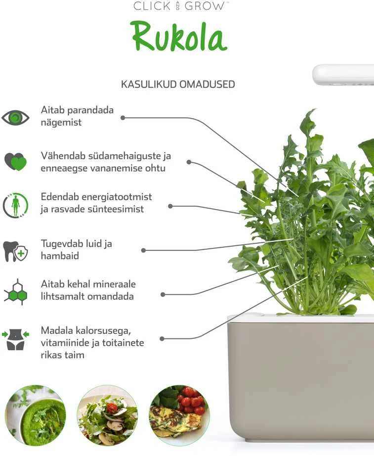 Click & Grow sėklos išmaniajam vazonui - Lapinės garstyčios (SGR19X3) 3vnt.