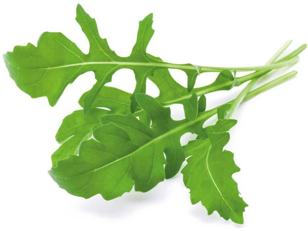 Click & Grow sėklos išmaniajam vazonui - Lapinės garstyčios (SGR19X3) 3vnt.