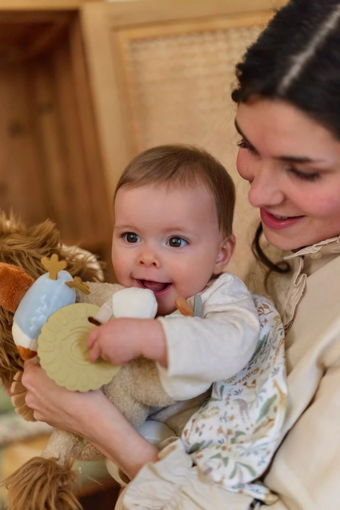 „Little Dutch“ – aktyvumo žaislas | „Liūtas Safari draugai“ GRS