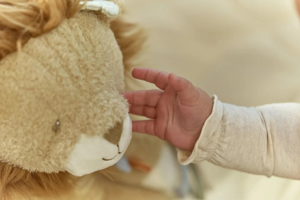 „Little Dutch“ – aktyvumo žaislas | „Liūtas Safari draugai“ GRS