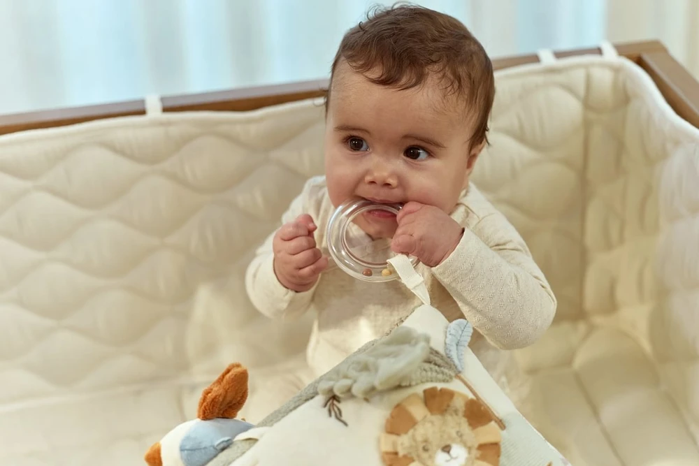 Little Dutch Mažasis olandas – kūdikiams edukacinis trikampis | Safari draugai GRS