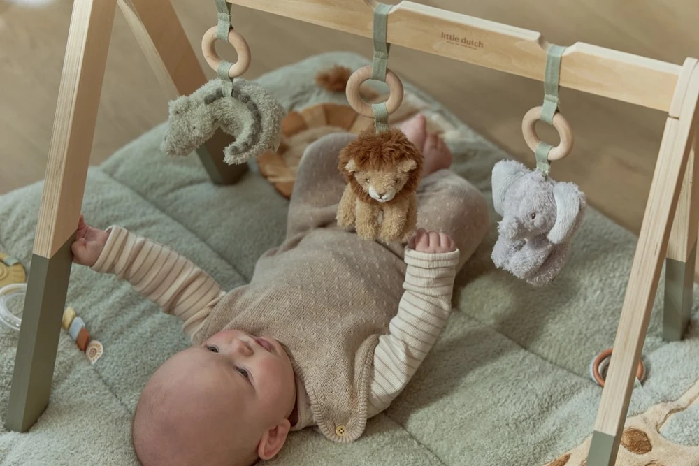 Little Dutch – interaktyvus lankas | Safari Friends GRS