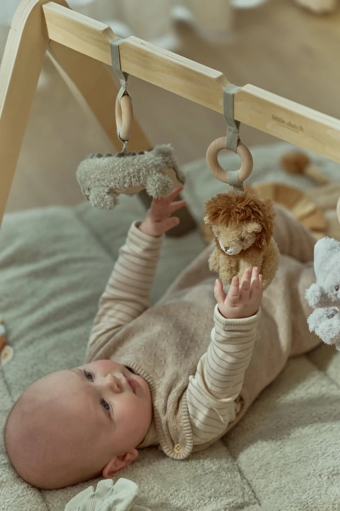 Little Dutch – interaktyvus lankas | Safari Friends GRS