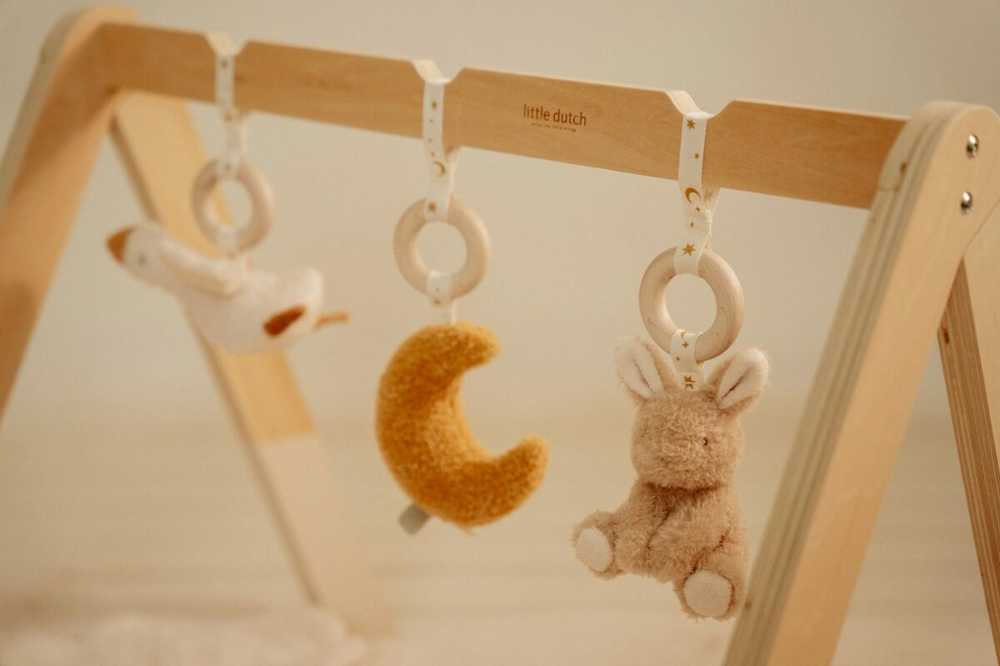 Little Dutch Kūdikių gimnastika ´Newborn Naturals´