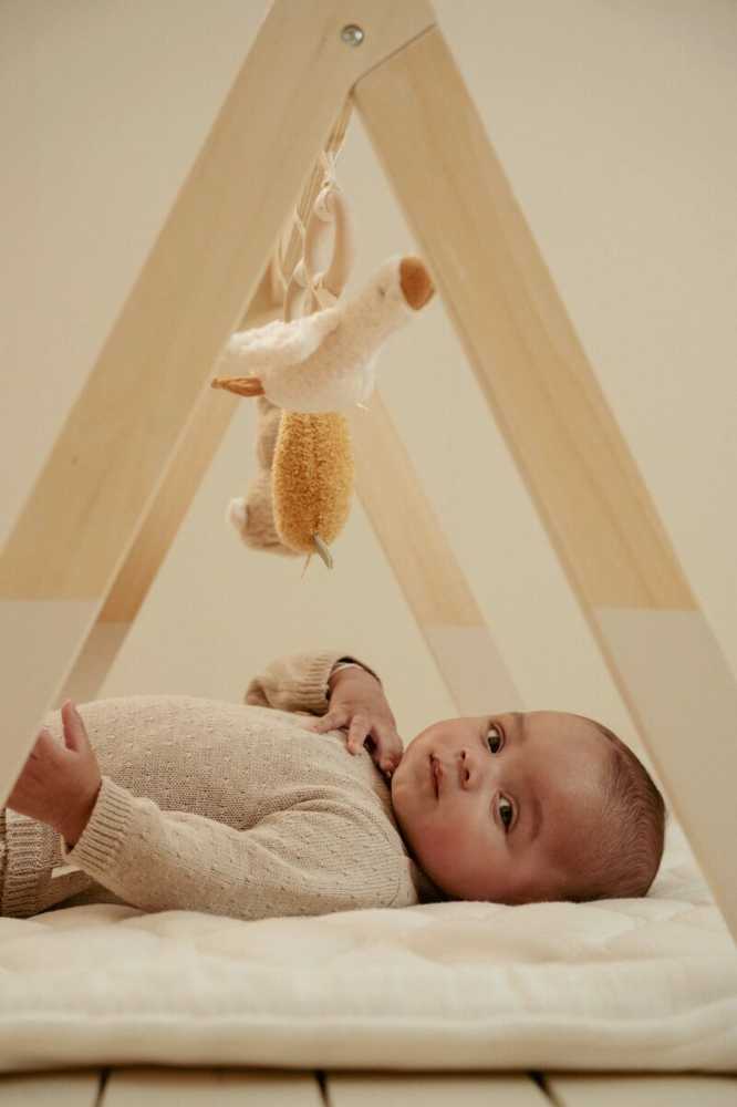 Little Dutch Kūdikių gimnastika ´Newborn Naturals´