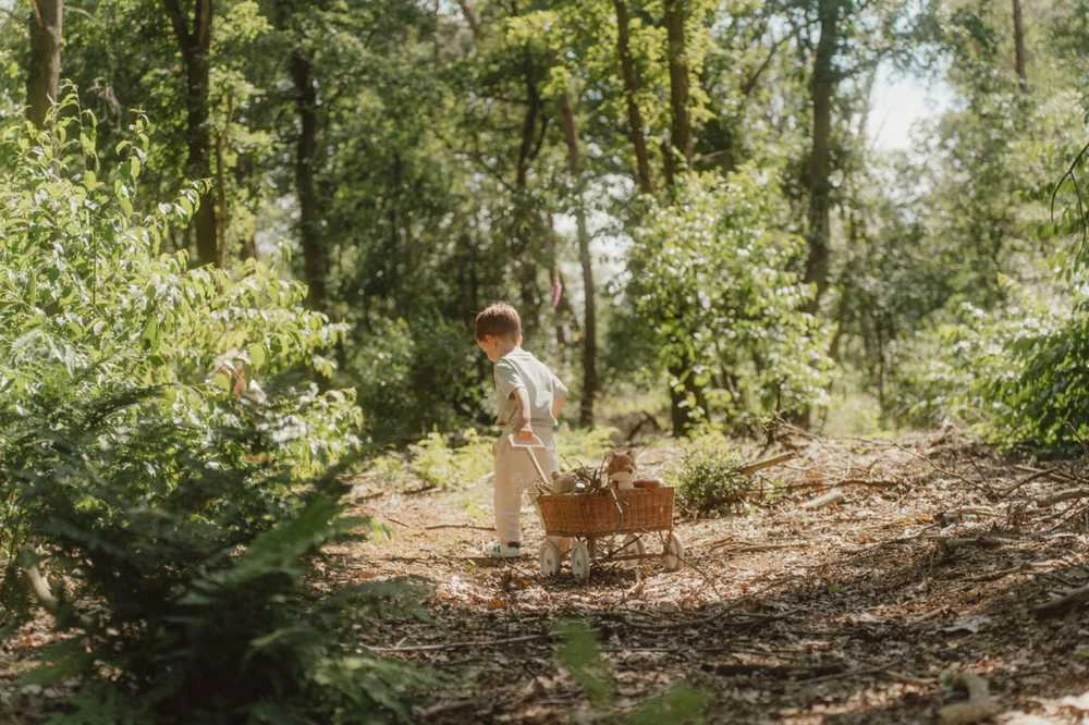 Little Dutch Pliušinis lapinas ´Forest Friends´