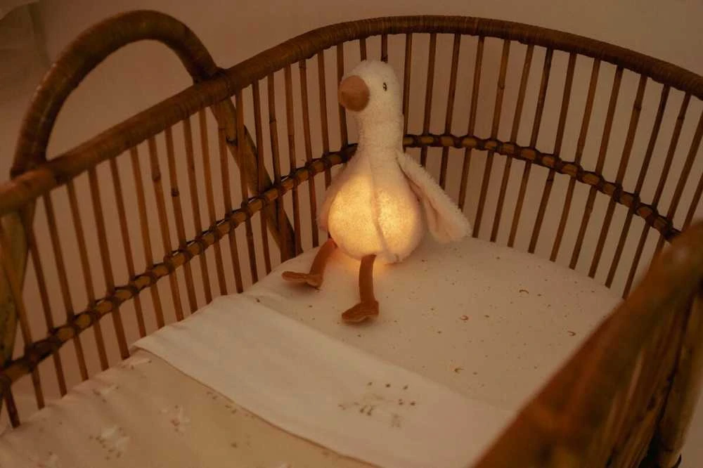Little Dutch Pliušinė žąsis su šviesa ir garsu ´Newborn Naturals´