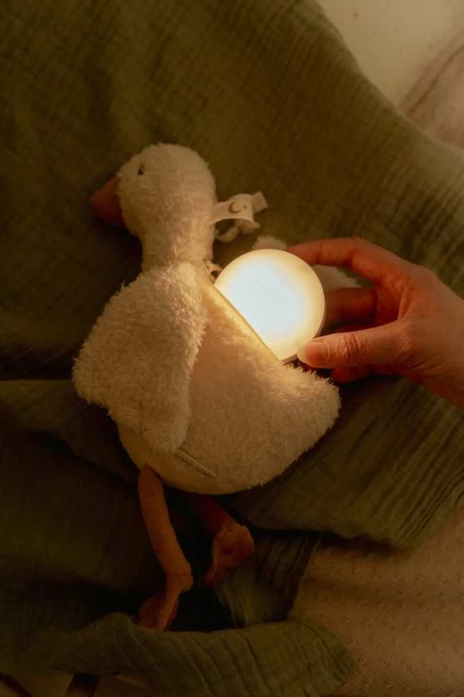 Little Dutch Pliušinė žąsis su šviesa ir garsu ´Newborn Naturals´