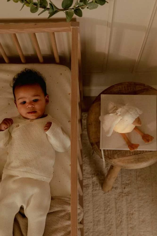 Little Dutch Pliušinė žąsis su šviesa ir garsu ´Newborn Naturals´