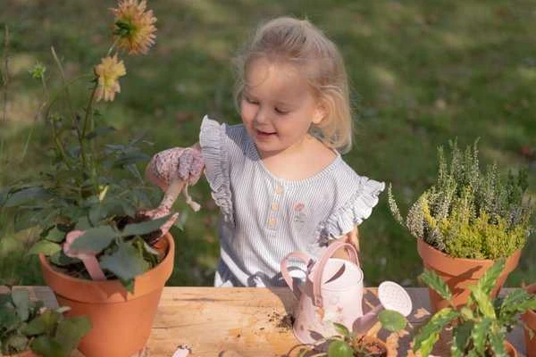 Nezatříděno Little Dutch Sodo dovanų rinkinys 10 dalių ´Fairy Garden´