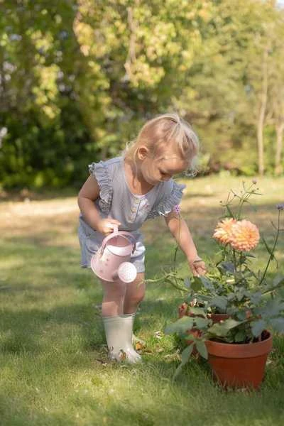 Nezatříděno Little Dutch Sodo dovanų rinkinys 10 dalių ´Fairy Garden´