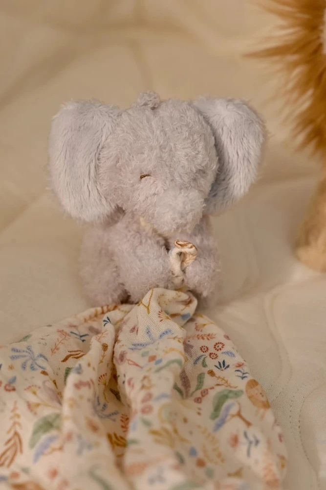 Little Dutch - komplektas prezentowy | Safari Friends GRS