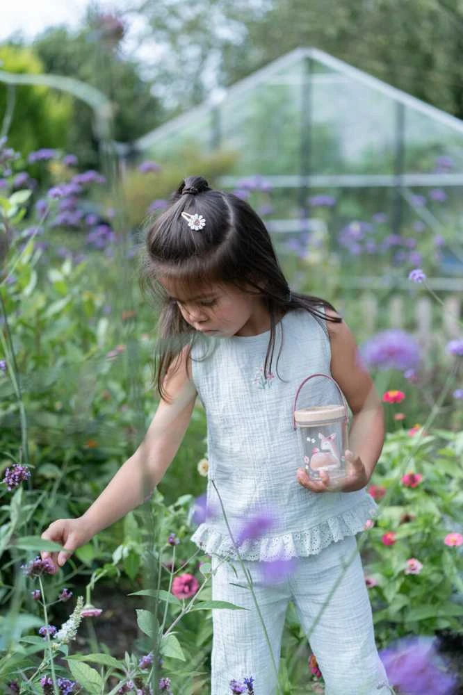 Little Dutch Indelis vabzdžiams 'Fairy Garden'
