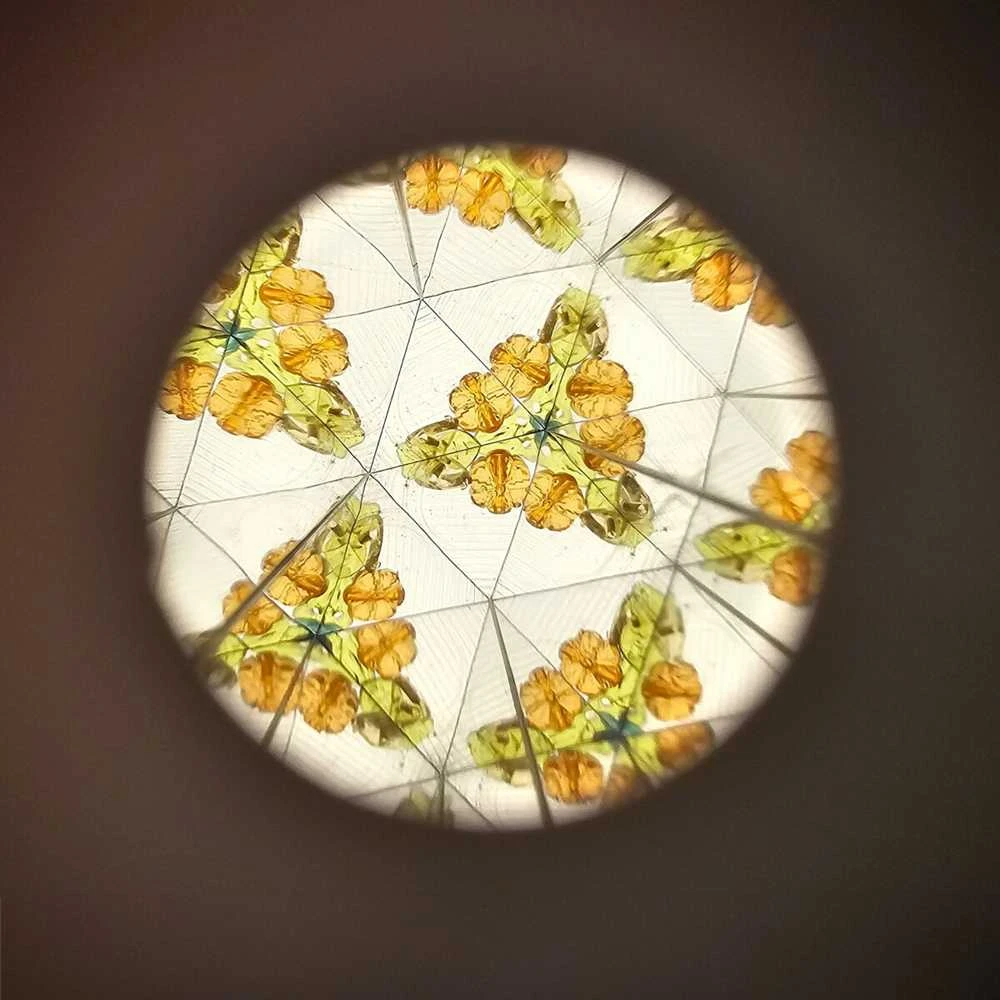 Little Dutch Kaleidoskopas 'Forest Friends'