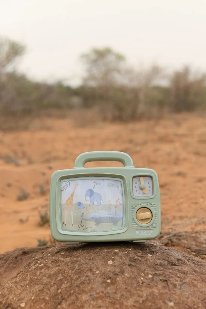 Little Dutch Musical TV ´Safari Friends´