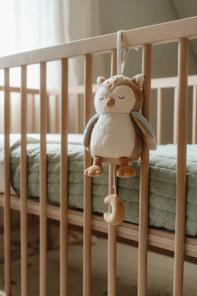 Little Dutch Muzikinė dėžutė pelėda ´Owl´