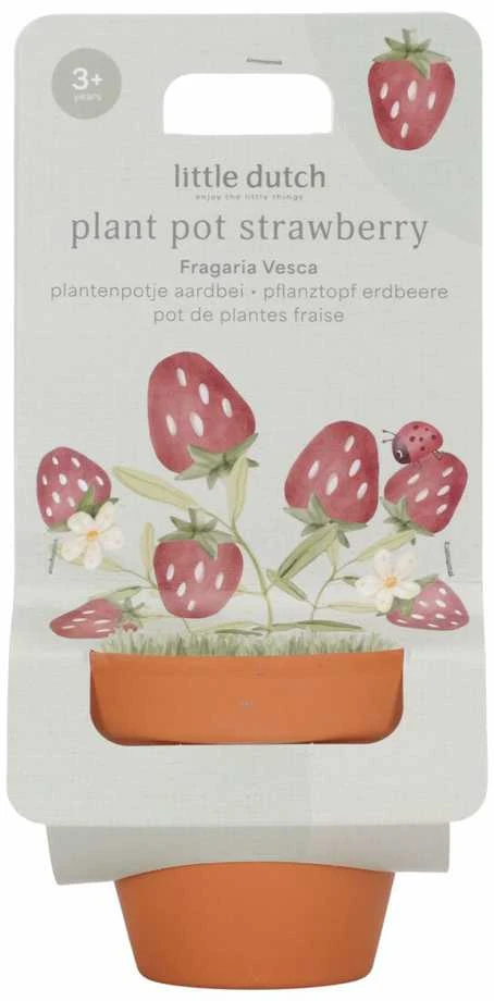 Little Dutch Vazonėlis braškė 'Forest Friends'