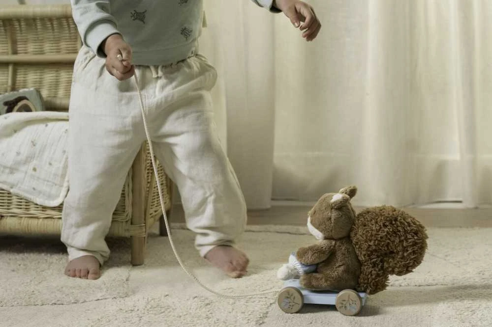 Little Dutch Traukiama voverytė 'Forest Friends'