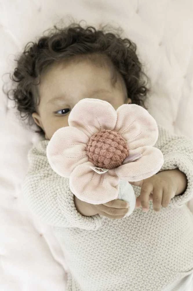 Little Dutch Rattle Flower ´Fairy Garden´ GRS