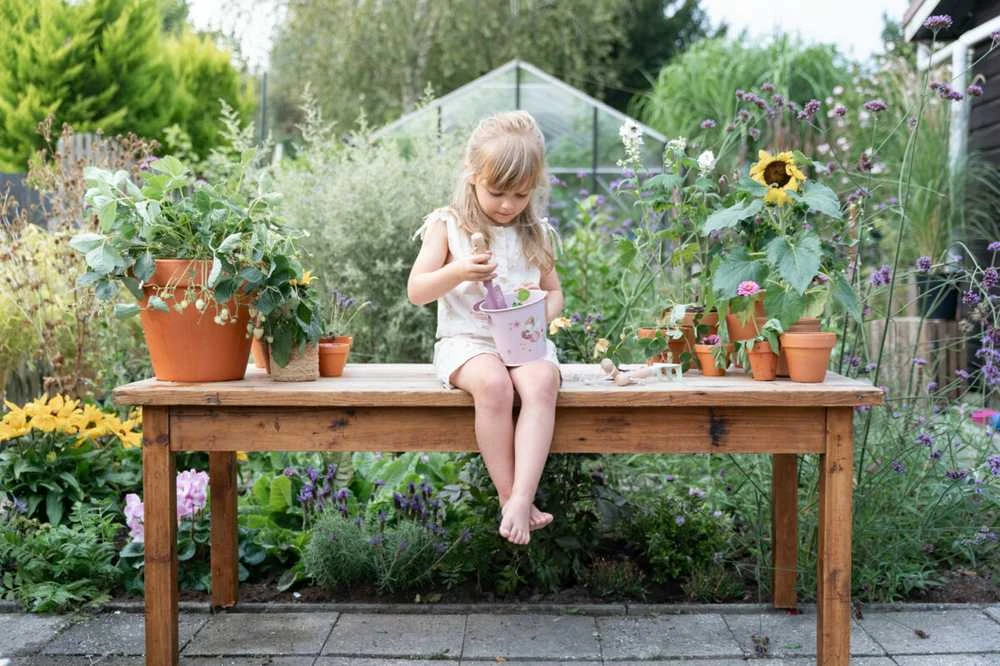 Little Dutch Sodo įrankių rinkinys ‘Fairy Garden’