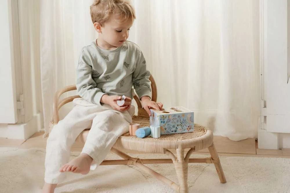Little Dutch Medinė formelių rūšiuoklė Miško draugai