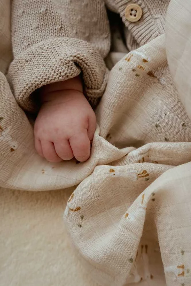 Little Dutch Plena zavinovací 120x120 cm Husa Newborn Naturals