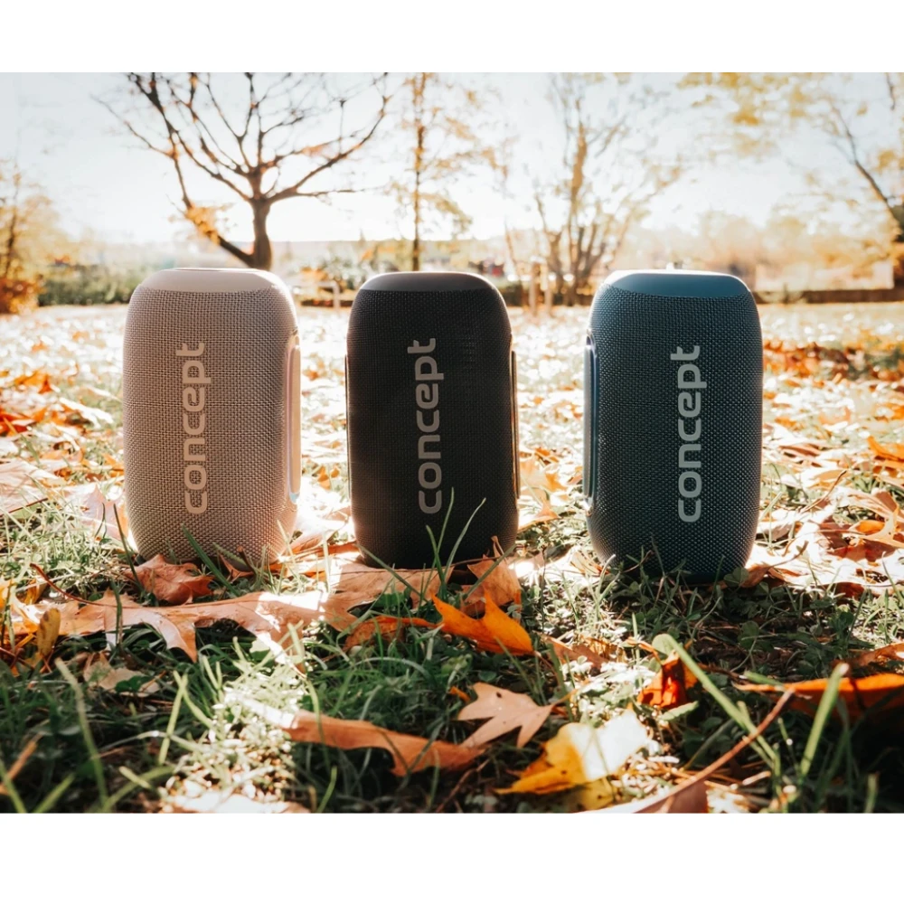 Belaidis garsiakalbis – nešiojama kolonėlė Concept SoundJoy BR5020