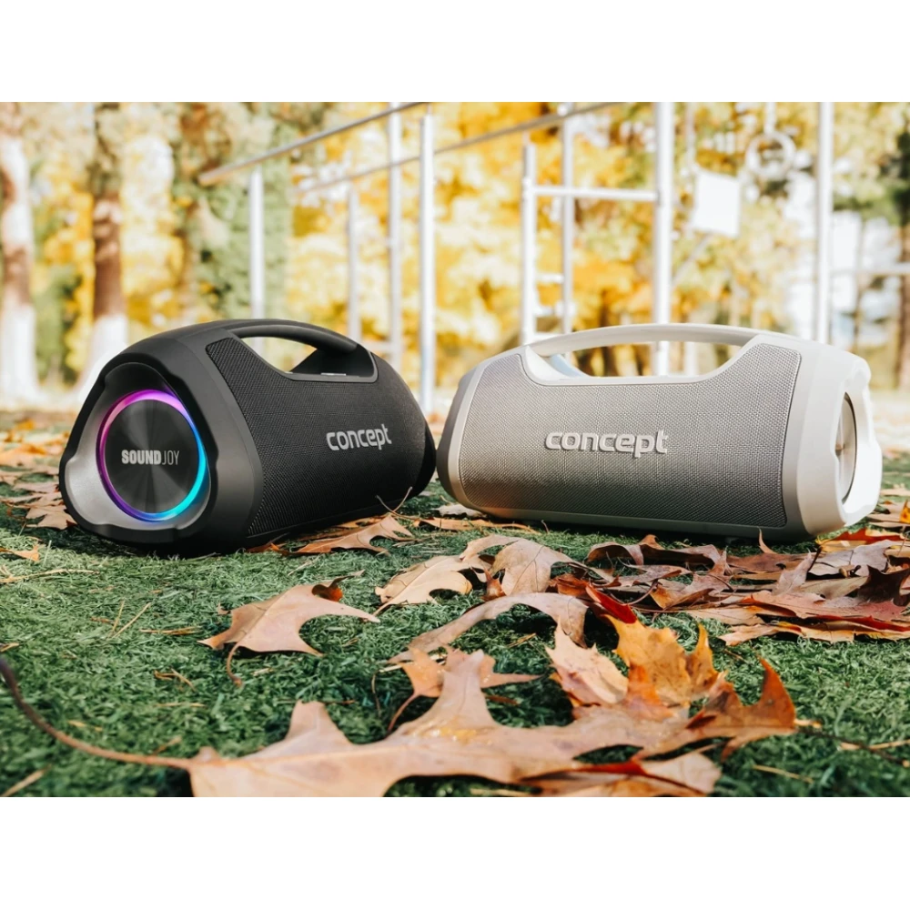 Belaidis garsiakalbis – nešiojama kolonėlė Concept SoundJoy BR5060