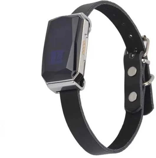 GPS gyvūnų sekiklis Feelspot FS-SC01GPS