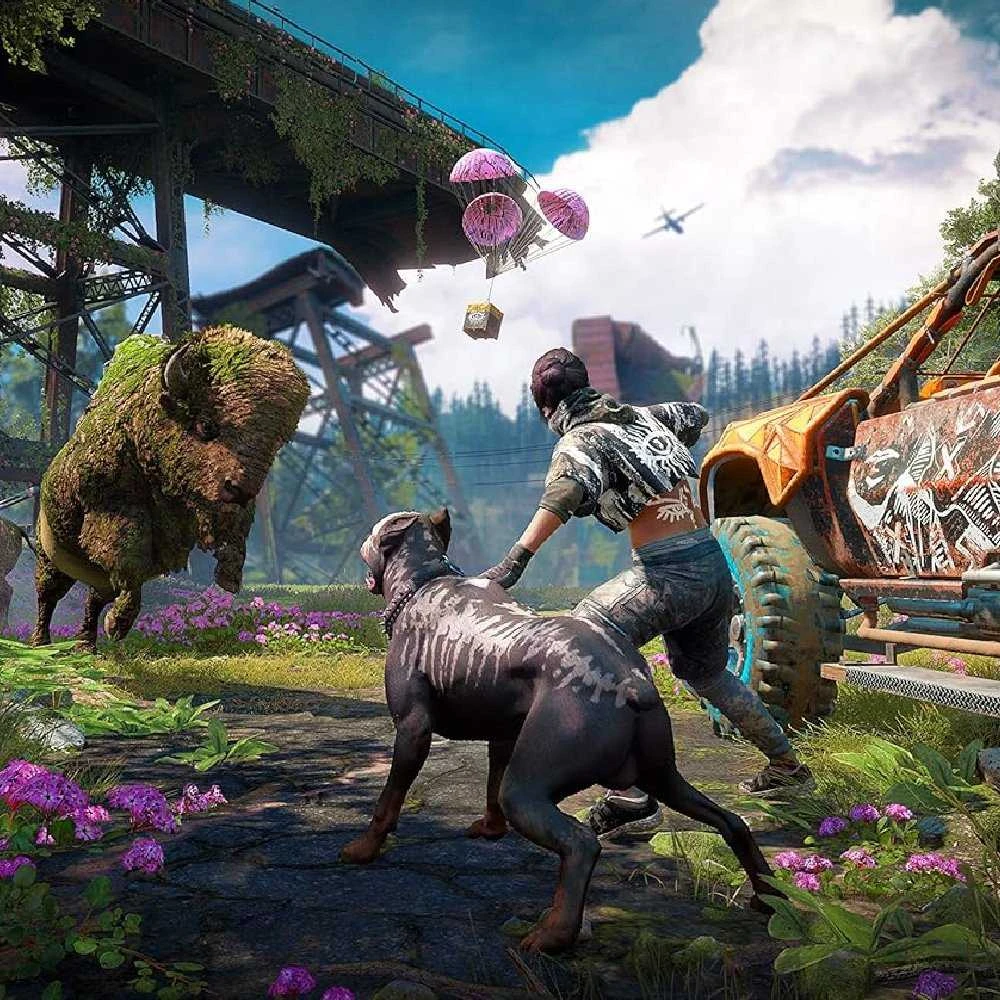 Far Cry New Dawn PS4