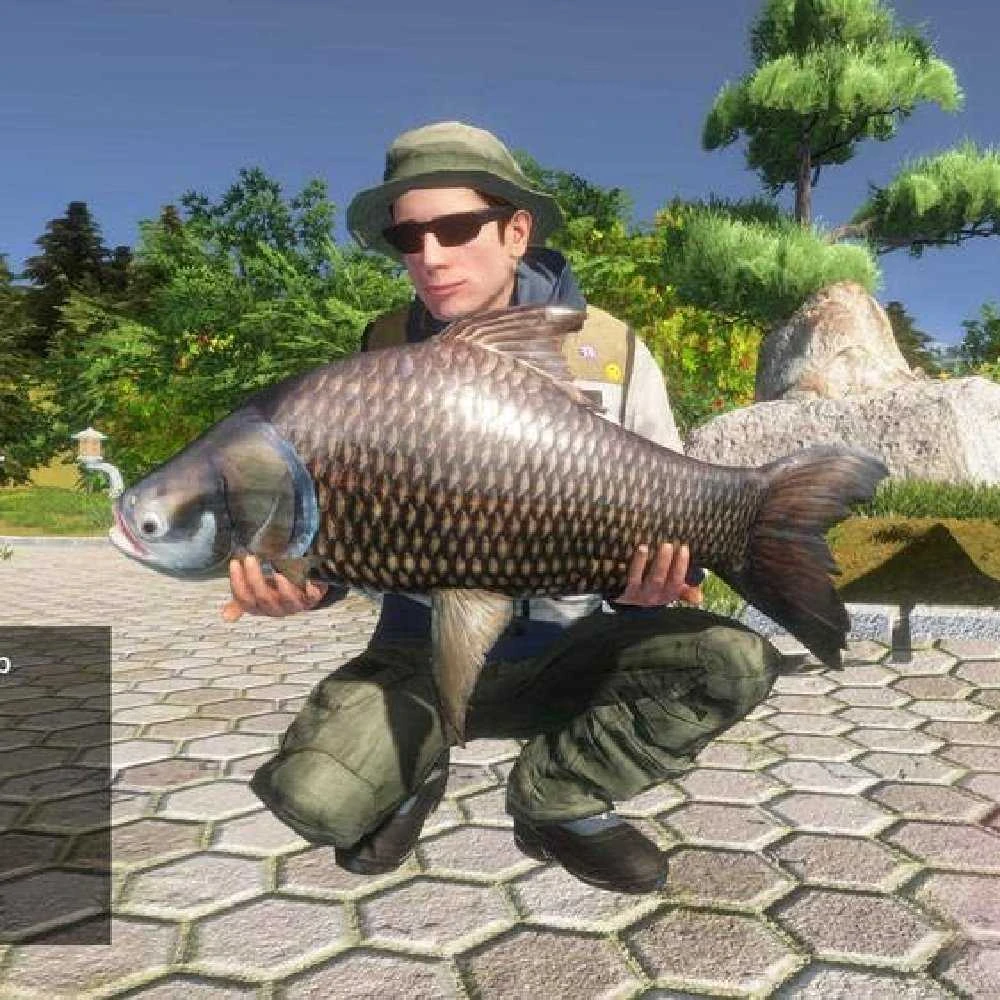 Pro Fishing Simulator PS4