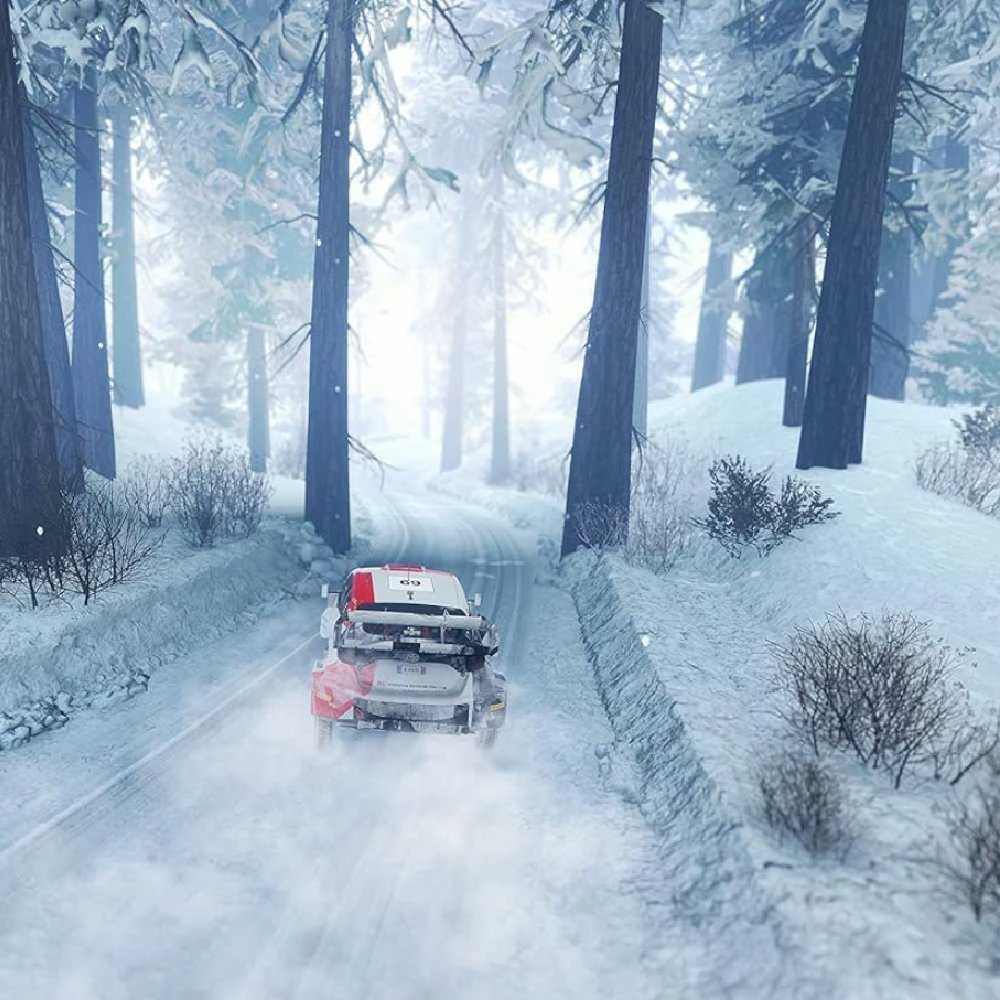 WRC kartos PS4