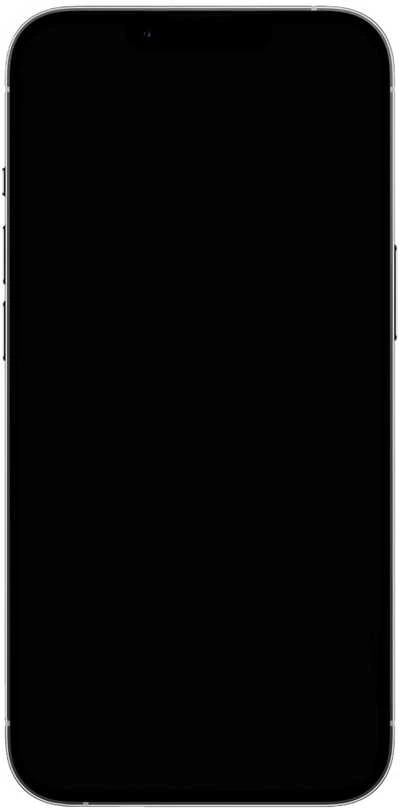Apple iPhone 13 Pro Max 256GB Pilkas (Graphite) (Atnaujintas, būklė kaip naujas)