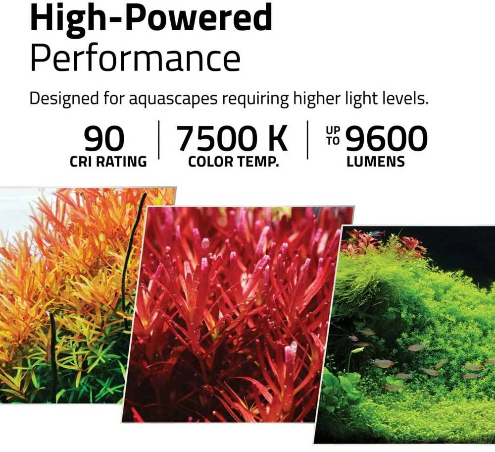 „Fluval Plant Pro LED“ su „BT Mesh 150“, 120 W, 117–154 cm