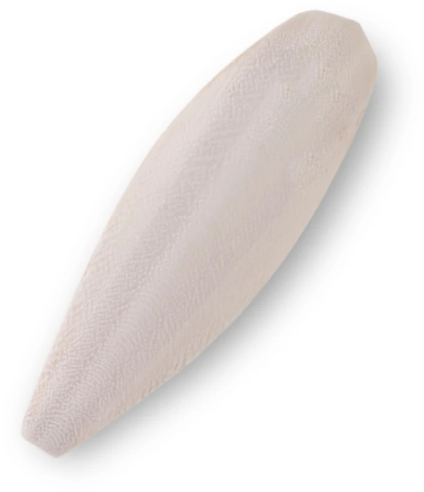 MediSepia Cuttlebone natūrali sepija