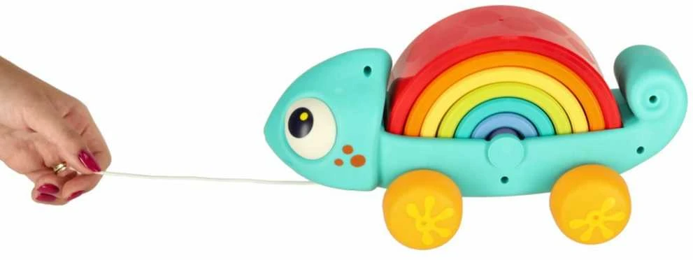 Montessori rūšiavimo žaislas Chameleonas